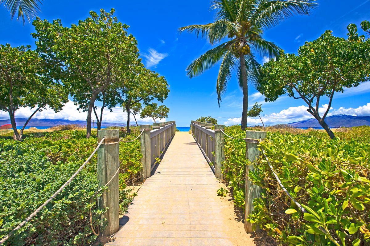 Direct beach access from resort