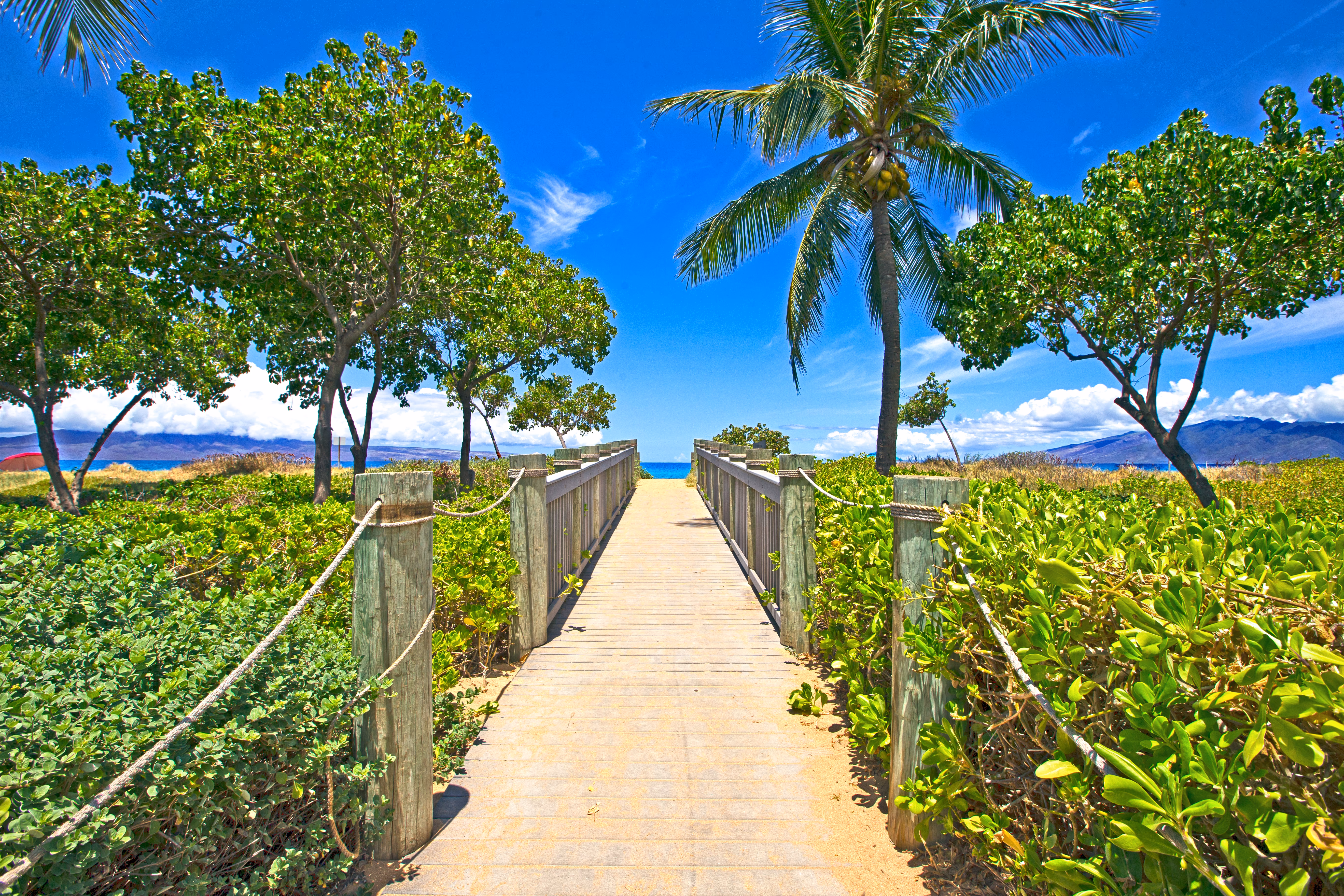 Direct beach access from resort